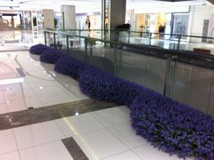IMG_1874-远洋未来广场(育慧北路店)