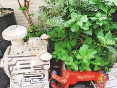 -大水的店(昙华林店)