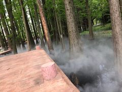 -东湖落雁景区