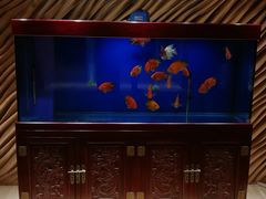 -北京西单美爵酒店