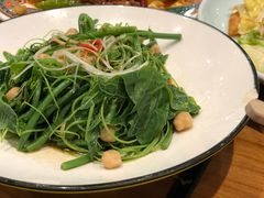 -巴依老爷新疆美食(望京小街店)