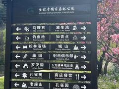 -金龙寺国家森林公园