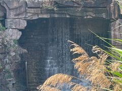 -爱情山风景区