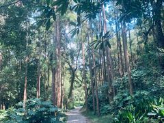 -狼山风景名胜区