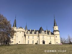 -北京张裕爱斐堡酒庄