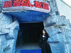 -巨鹏飞梦幻海岸
