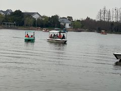 -上海长兴岛郊野公园