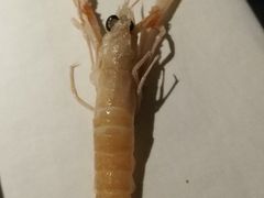 -星伦多自助料理(华润万象城店)