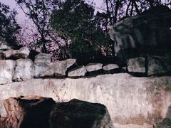 -清迈夜间动物园