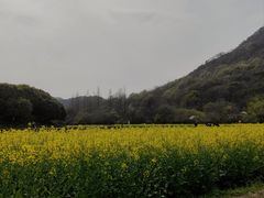 -八卦田遗址公园