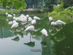 -广州动物园