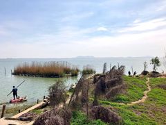 -贡湖湾湿地公园