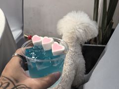 -芭厘农庄老字号·清远鸡