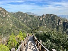 -大岭沟猕猴桃谷风景区