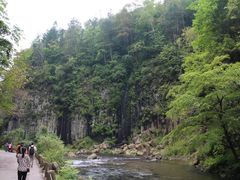 景点-望天鹅景区