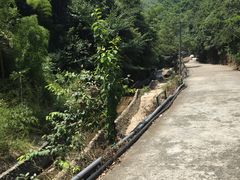 -众神白水涧景区
