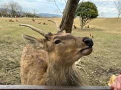 -良渚古城遗址公园