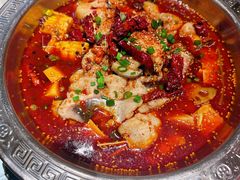 -奔跑吧陕菜·盛世长安(民乐园万达店)