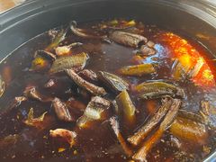 -金海椒罐罐鲢鱼(东方桂苑店)