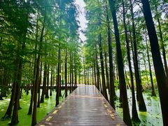 -云龙湖旅游景区