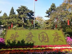 -团结湖公园