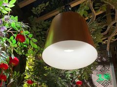 -甘家界柠檬鸭(安吉店)