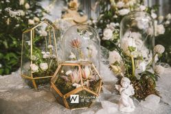 -天泰一站式婚宴·宴会厅