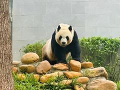-石排湾郊野公园