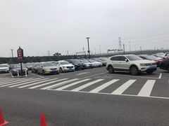 -迪士尼乐园停车场