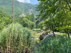 -灵溪风景区