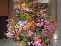 -浅深Cheersum(曹杨店)