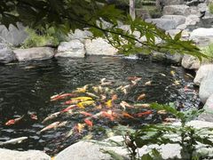 android_upload_pic-中国唐苑