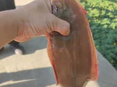 -南沙十九涌渔人码头-南门