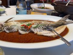 -丹江渔村(望京店)