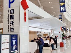 -青岛胶东国际机场