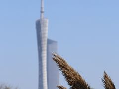-海珠湖公园