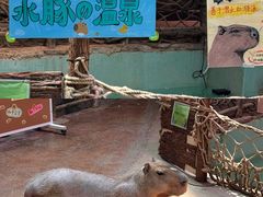 -正佳雨林生态植物园