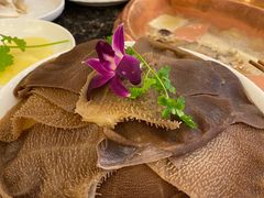 -老码头火锅(玉林店)