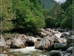 -青峰峡国家森林公园