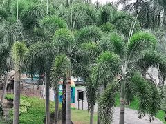 -三亚海棠湾万丽度假酒店