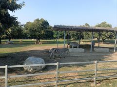 -西安秦岭野生动物园