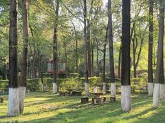 -四川大学(华西校区)