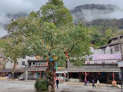 -九皇山景区