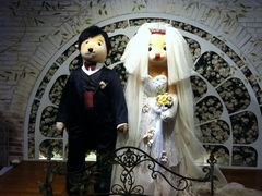 -济州岛泰迪熊博物馆