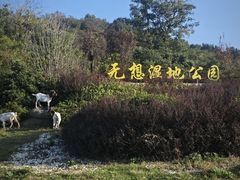 -南京市无想山景区