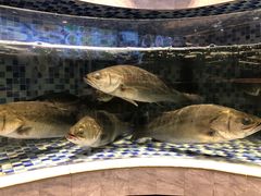 -丰尔粥食·顺德鱼生·干蒸排骨顺德菜(大良分店)