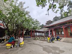 -宫事颐庭·老佛爷贵寿下午茶(颐和园店)