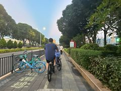 -仙岳公园