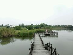 -梁鸿国家湿地公园