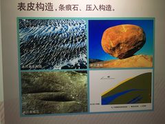 -中国第四纪冰川遗迹陈列馆